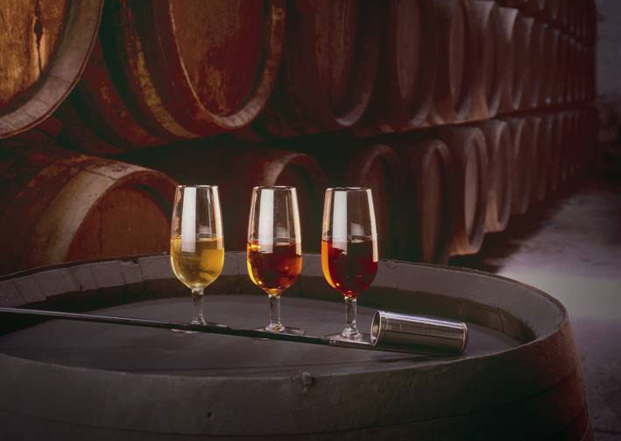 Cata de vino