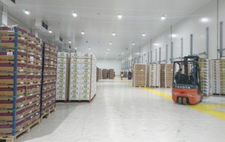 IFS logistics Algeciras